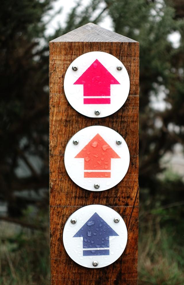 Wooden post with arrows denoting different routes